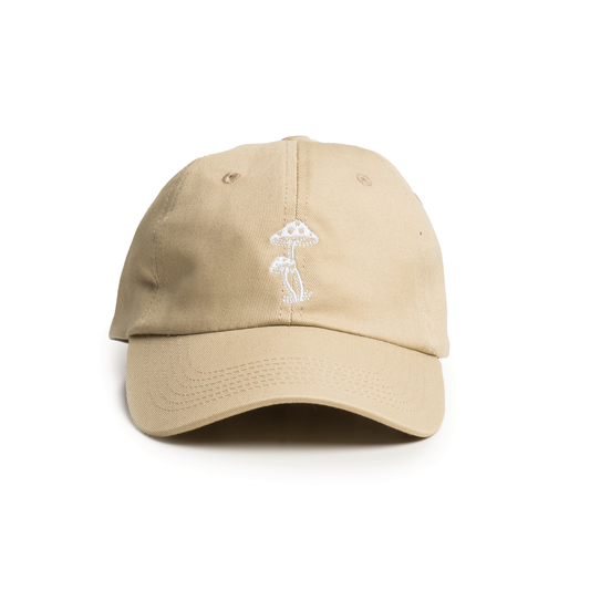 Mushroom 6 Panel